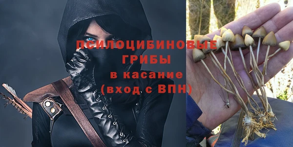 spice Приозерск